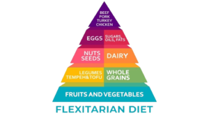 Flexitarian Diet infographics, pyramid