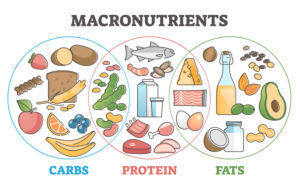 Macronutrients: Finding The Right Balance