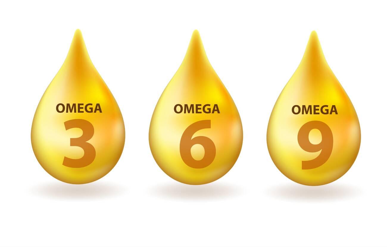 Omega-3-6-9 Fatty Acids