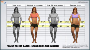 waist-to-hip ratio (WHR)