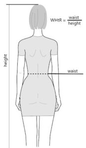 waist to height ratio (WHtR)